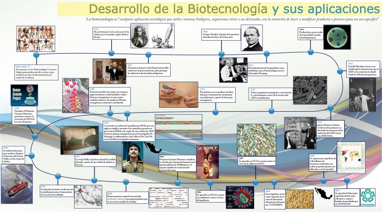 Linea Del Tiempo De Cientificos En Historia De La Microbiologia My Xxx Hot Girl