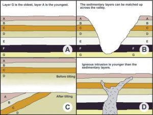 Interpretación de cortes geológicos BIOLOCUS